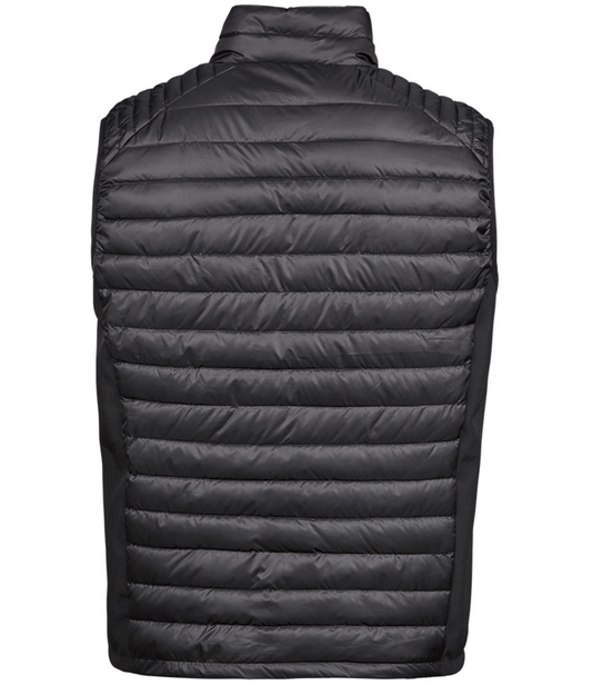 Thomas and Thomas Padded Bodywarmer