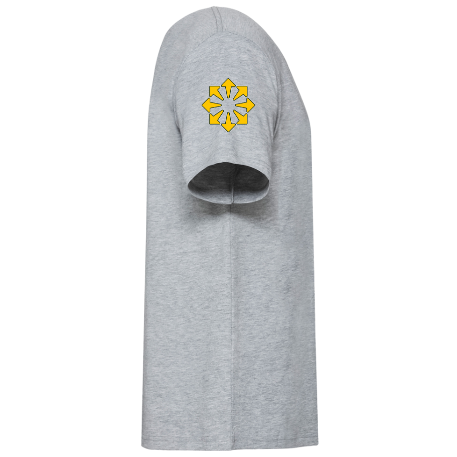 Sunlit Solar Men's T-shirt