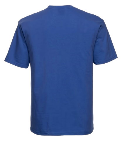 Value Weight Men's T-Shirt