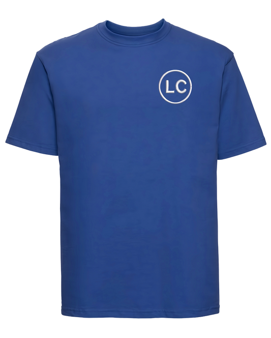 Value Weight Men's T-Shirt